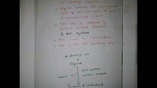 Biosynthesis of Heme [upl. by Einhorn]