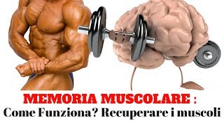 MEMORIA MUSCOLARE  Come funziona Recuperare i muscoli persi [upl. by Mccoy928]