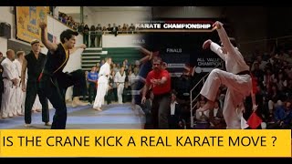 Is The Crane Kick A Real Karate Move [upl. by Luap]