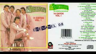 LOS SAGITARIOS quot14 EXITOS VOL1quot ALBUM COMPLETO 1991 CHEMANEL [upl. by Ebaj]