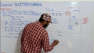 Methodology of capillary electrophoresis  CE  types of Electrophoresis  Electrophoresis [upl. by Montana]