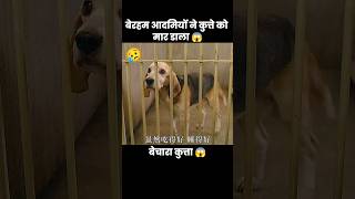 बेचारे कुत्ते को पिंजरे में बंद करके 😥  short dog movie cartoon part01 [upl. by Wrand]