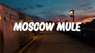 Bad Bunny  Moscow Mule LetraLyrics [upl. by Airekal]