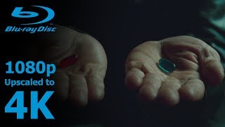 The Matrix  Blue Pill or Red Pill [upl. by Fanny252]