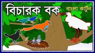 বিচারক বক  BICHAROK BOK  JUDGE BUCK  BANGLA CARTOON STORY  BIRDS CARTOON  BANGLA GOLPO [upl. by Eimia]