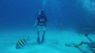 Buceo en San Andres  Colombia 12 [upl. by Idell565]