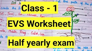 Class 1 EVS Half Yearly Exam question paper EVS Worksheet for Class 1Class 1 EVS Worksheet [upl. by Ecneitap]