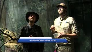 Assiniboine Zoo Spooktacular Halloween [upl. by Yreffej611]