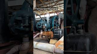 Starting FairbanksMorse Model Z 15hp Elevator Engine stationaryengine fairbanksmorse [upl. by Elfrida]