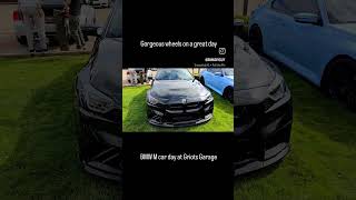 All the pretty cars come outbmwdiyguy griotsgarage [upl. by Isewk]