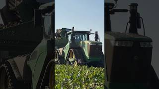 John Deere 9RX amp Holmer T4  Video kommt am Wochenende ✌️ ernte2024 farming landwirtschaft [upl. by Einnod]