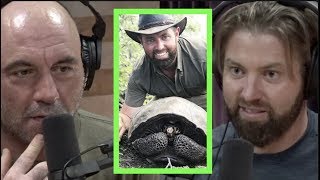 Forrest Galante Rediscovered Extinct Galapagos Tortoise  Joe Rogan [upl. by Atalanta]