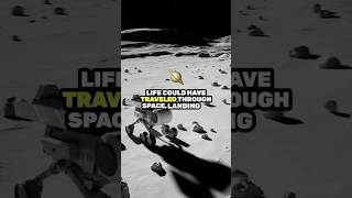 Panspermia Theory youtubeshorts shorts short theory space universe earth astronomy life [upl. by Annaehs]