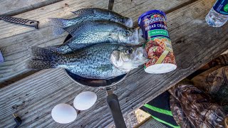 Crappie Catch And Cook [upl. by Sanfourd]