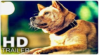 HACHIKO 2 SIEMPRE A TU LADO Tráiler Español Latino 2024 [upl. by Devondra]