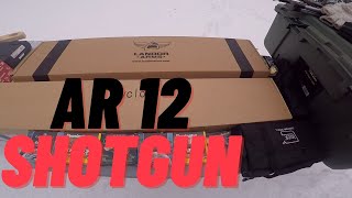 Landor Arms AR12 Shotgun  Unboxing and shooting 8 Birdshot [upl. by Weinhardt382]