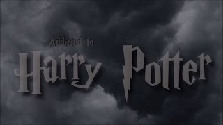 LPS My Strange Addiction  Addicted to Harry Potter [upl. by Fredella781]