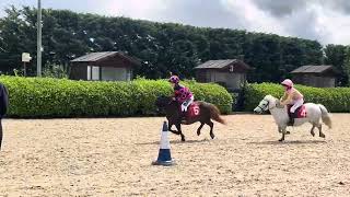 Shetland Pony Grand National  2024 Duble amp Florence [upl. by Posehn]