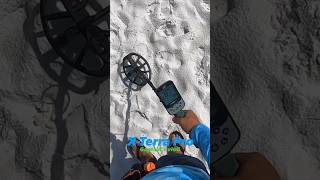 Beach Metal Detecting Minelab XTerra Pro Hexscoop XterraPro [upl. by Joni358]