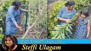 சூறாவளி புயல் in our Garden  Steffi Vlog in Tamil [upl. by Nelad]