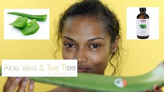 ALOE VERA amp TEA TREE SCALP TREATMENT [upl. by Bust]