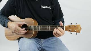 Lanikai ACSTB Solid Top Acacia Baritone Ukulele w Bag  The Ukebug [upl. by Lairret]