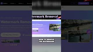 How to Remove a Watermark from Any Video with Media io in 2024 removingwatermarks watermarkremoval [upl. by Collete]