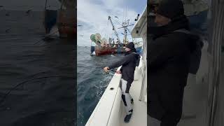 Tossing a dead dogfish shark next to a dragger and hooking a GIANT bluefin tuna fishing nature [upl. by Icyac563]