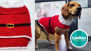 🎅💚SACO NAVIDEÑO PARA PERRO PASO A PASO Tejido a crochet Sueter para mascotas a ganchillo🐕‍🦺 [upl. by Aileme]