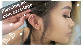 Piercing my triple cartilage AT HOME [upl. by Vasta584]