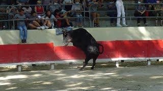 SOMMIERES COURSE AU AS 30052021 [upl. by Llevert761]