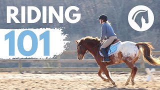 HOW TO RIDE A HORSE EASY BEGINNERS GUIDE [upl. by Entsirhc]