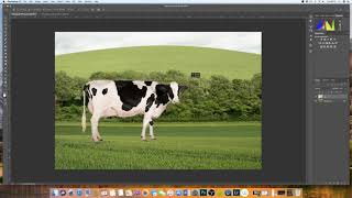 How to insert an image into another image Photoshop  EASY EXPLANATION [upl. by Inva]