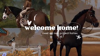 MEET MY NEW PROJECT HORSES  Star Stable Realistic Roleplay [upl. by Lemay]