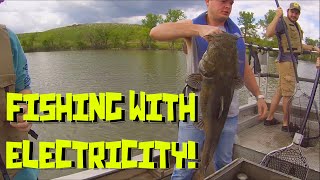 Fishing With Electricity  Warning Big Flathead [upl. by Doherty]