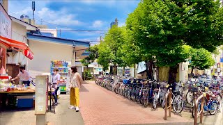 JAPANTOKYONakaitabashi walking scenery [upl. by Yrakcaz]