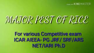 Major pest of Rice for Competitive exam ICAR AIEEA JRF  NET  SRF  ARS  IARI PhD [upl. by Robin]