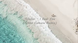 Schiller  I Feel You Nikko Culture Remix [upl. by Meadow]