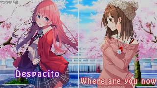 Nightcore  Despacito ✗ Faded ✗ Shape Of You ✗ Treat You Better Switching Vocals  Lyrics [upl. by Nigrom]