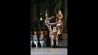 Ivan Vasiliev  La Bayadere Solor Variation [upl. by Sandry229]