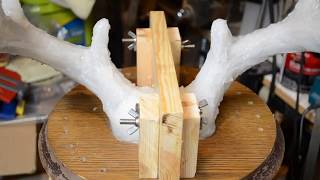 Molding And Casting My Whitetail Deer Antlers Part 2 [upl. by Hteboj986]