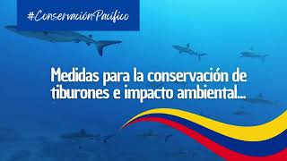 Conservemos el Pacífico Colombiano protejamos los tiburones y nuestro ecosistema [upl. by Croteau787]