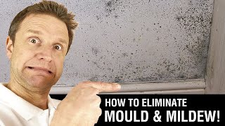 How to Paint over Mould amp Mildew [upl. by Nnylaj]