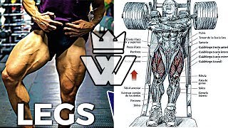 Full Leg Workout  20 Exercises for Strong Legs [upl. by Severin]