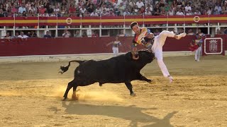 Concurso con Toros Bravos Medina del Campo 2022 [upl. by Nodroj583]