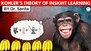 Kohlers theory of Insight learning  अंतर्दृष्टि सिद्धांत  CTET UPTET BED Teaching exams [upl. by Annair28]