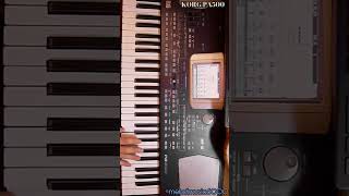 KORG PA500 🎹 mehdimusic6000 korgkorgpa500keyboard کیبوردنوازی کیبورد ارگنوازی [upl. by Adina]