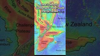 Did you know about Zealandia 🤔 geography zealandia [upl. by Newbold]