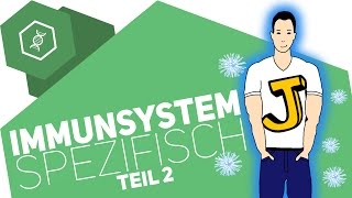 Spezifische Immunabwehr 2  Immunsystem [upl. by Nobell315]