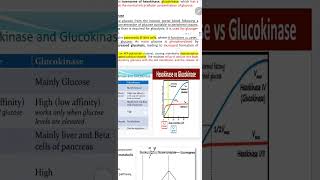 glycolysis part 3 hexokinase and glucokinase [upl. by Enitsej301]